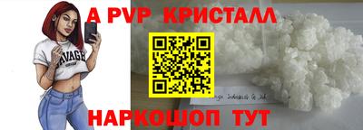 стафф Кингисепп