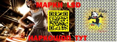 стафф Кингисепп