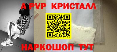 стафф Кингисепп