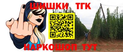 стафф Кингисепп