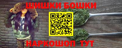 стафф Кингисепп
