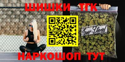 стафф Кингисепп