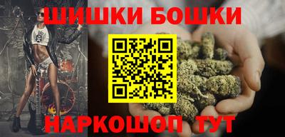 стафф Кингисепп