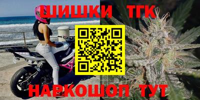 стафф Кингисепп