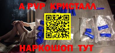 стафф Кингисепп