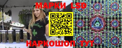 стафф Кимры