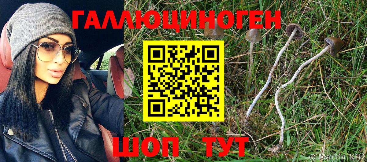 Псилоцибиновые грибы Psilocybe  Вход с VPN  закладка  Котовск  Галлюциногенные грибы Cubensis 